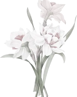 flower-1