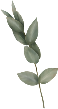 leaf-1