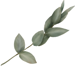 leaf-2