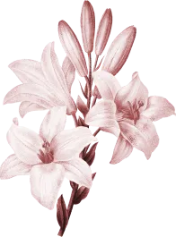 flower-1