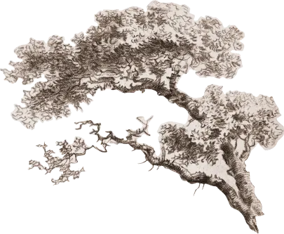 tree-2