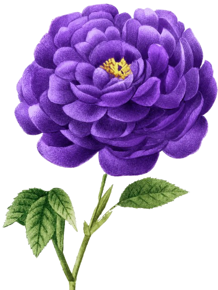 flower-1