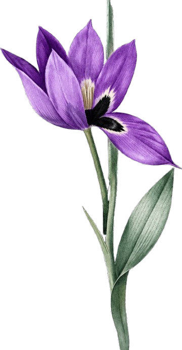 flower-3